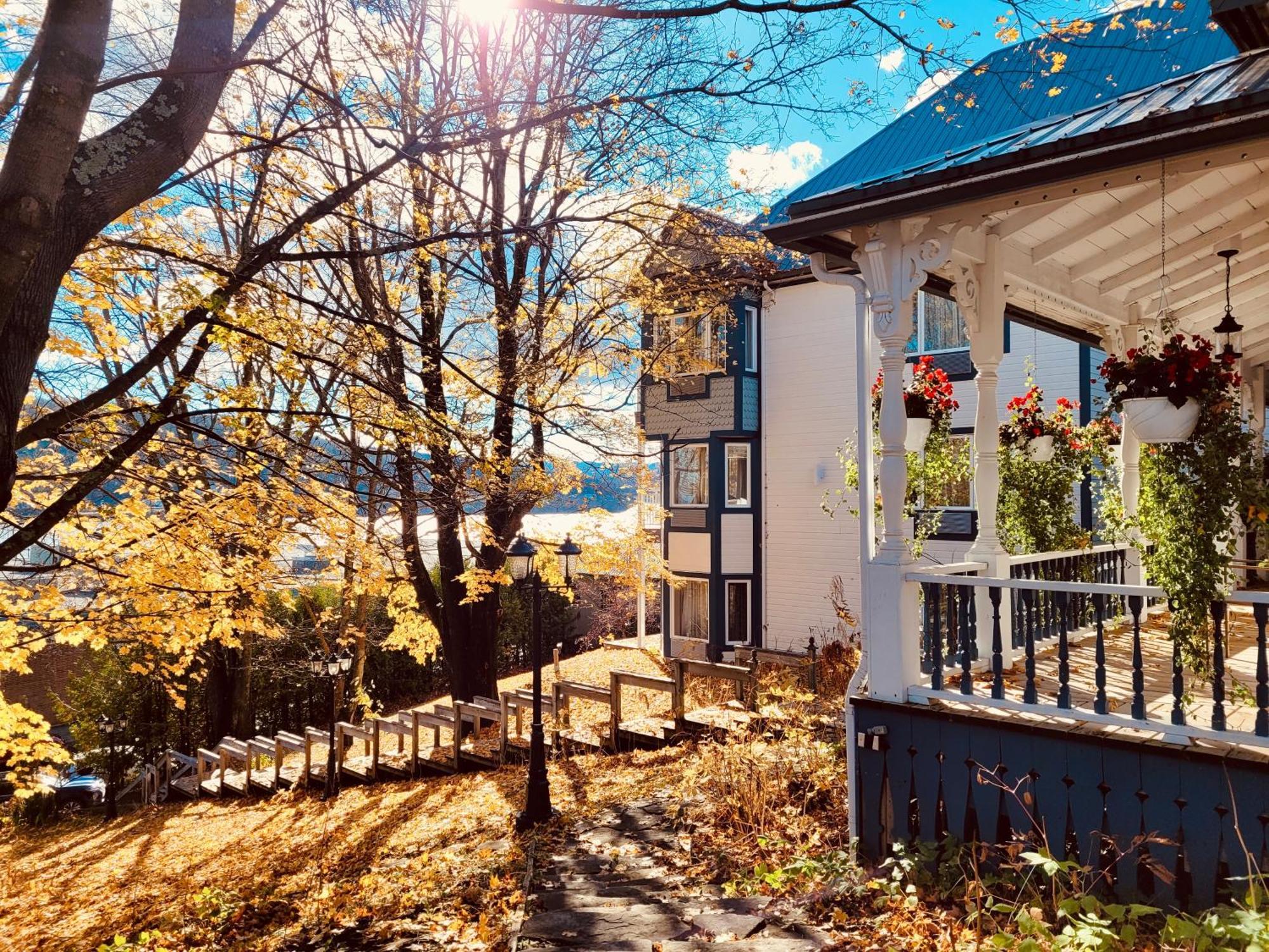 Auberge Sous Les Arbres Gaspe Exterior photo